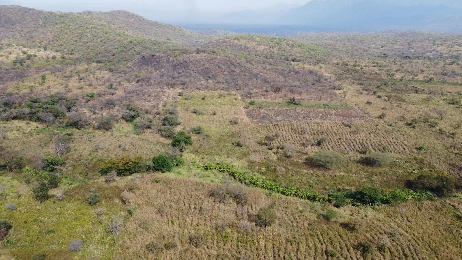 Drainage line through cultivated slopes, near Orom, northern Uganda